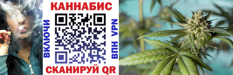 Бошки Шишки семена  кракен маркетплейс  Ковдор  где найти наркотики 